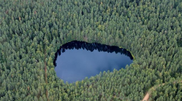 Latvijas mežs un ezers. Foto: Rūta Kalmuka, F64
