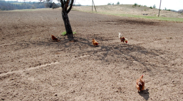 Foto: Inga Nestere, F64