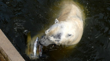 Rīgas Zooloģiskais dārzs