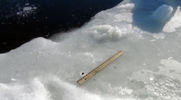 Zinātnieku atrastās meteorīta daļiņas. Foto: AFP/LETA