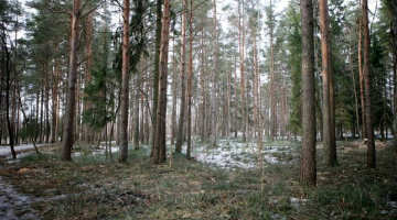 Evija Trifanova, LETA
