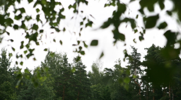 Foto: Andrejs Strokins, F64