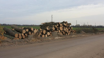 Foto: Dacīte Beķere