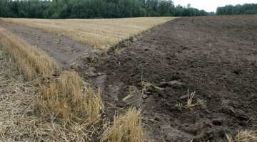 Gatis Dieziņš, LETA