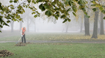 Rudens lapu grābšana. Foto: Rūta Kalmuka, F64
