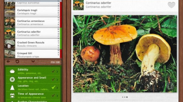 Ekrānšāviņš no http://naturemobile.org/