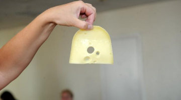 Siera šķēle. Foto: Lita Krone, LETA