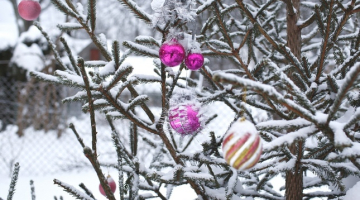 Foto: Andrejs Strokins, F64