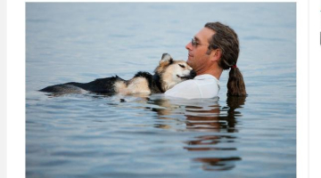 Džons Angers aijā savu iemigušo suni Šepu Superiora ezera ūdeņos Viskonsinā, ASV. Ekrāna stopkadrs. Foto no ''Huffington Post'', autore Hanna Stounhauza Hadsone, ''Stonehouse Photography''