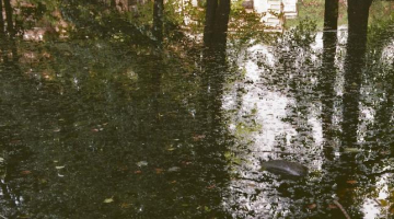 Izrādes publicitātes foto. Foto - Aigars Sērmukšs