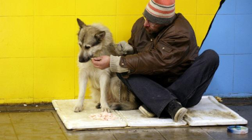 Ubags ar suni Rīgas gājēju tunelī. Foto: Evija Trifanova, LETA