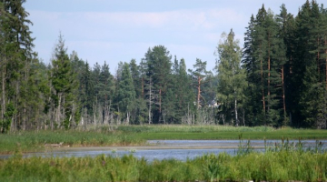 Foto: Lauris Nagliņš, LETA