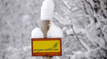 Latvijas Valsts mežu logo. Foto: Evija Trifanova, LETA