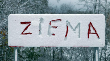 Foto: Edijs Pālens, LETA