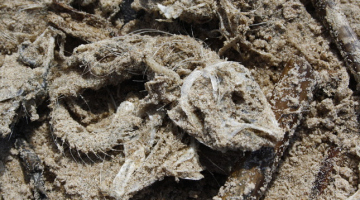 Foto: Jana Kudrjavceva, F64