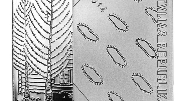 Jāņa Jaunsudrabiņa "Baltajai grāmatai" veltītā kolekcijas 5 eiro monēta. Latvijas Bankas foto