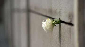 Berlīnes mūris. Foto: AFP/LETA