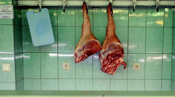 Foto: Ieva Lūka, LETA