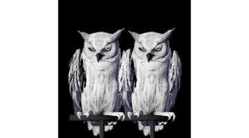 Norvēģu mākslinieces Annas Lislegordas darbs "Orākuls, pūce...daži dzīvnieki neaizmieg nekad". Izstādes publicitātes foto