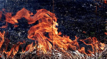 Kūla deg. Foto: Toms Zariņš, F64