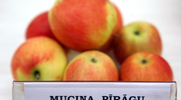 Foto no 2011.gada izstādes Dabas muzejā. Foto Evija Trifanova, LETA