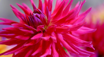 Foto Evija Trifanova, LETA