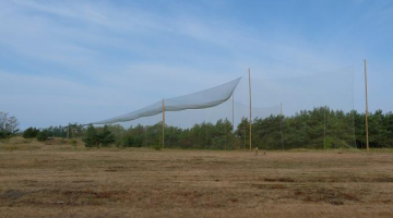 Sikspārņu murds Papē. Foto: Gunārs Pētersons