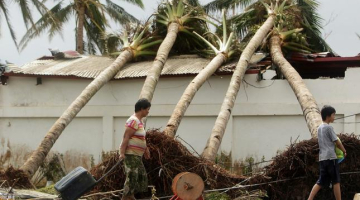 Filipīnieši iet garām taifūna izgāztajām palmām. Foto: EPA/LETA