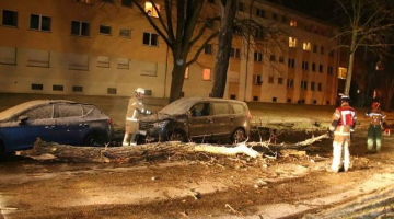 Vētras ''Ksavjērs'' postījumi Berlīnē. Foto: polizeireporter.
