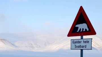 Ziemeļpola tuvumā Svalbardā, Norvēģijā, ceļa zīme rāda, ka jāuzmanās no leduslāčiem. Foto: AFP/LETA
