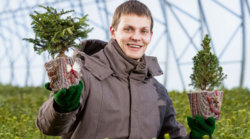 Kad 90.gadu beigās  tika uzbūvēta 500 kvadrātmetru siltumnīca, toreiz tas «šķita kaut kas fantastisks, neticams!» atceras Jānis Zvejnieks. Tagad kokaudzētavā zem plēves ir ap 17 000 kvadrātmetru.