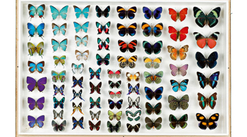 Foto — Imageforum/LETA