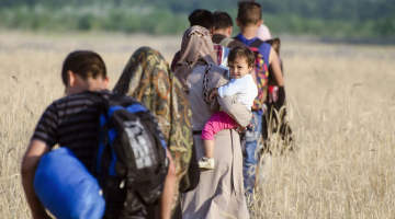 Bēgļi iet pāri labības laukam Serbijā netālu no Ungārijas robežas. Foto: AFP/LETA