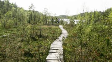 Ilustratīvs foto: Mārtiņš Zilgalvis, F64