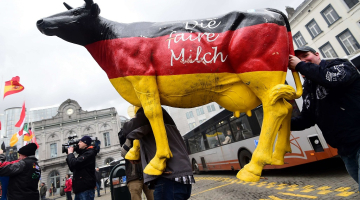 Briselē otrdien protestēja ES piensaimnieki, bažās par savām iespējām pēc piena kvotu atcelšanas. Foto: AFP/LETA