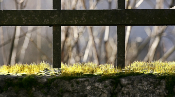 Foto: Raitis Plauks, F64