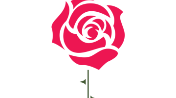 2015_09_roz.png