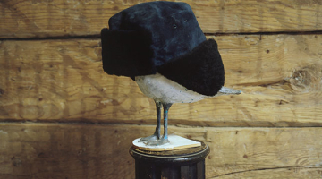 Fotogrāfa Andreja Strokina izstāde