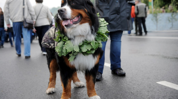 Foto: Edijs Pālens, LETA