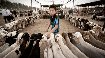 Uiguru zēns mājlopu tirgū Ķīnas ziemeļaustrumu pilsētā Kašgarā, kuru plānots attīstīt kā sākumpunktu jaunam globālam tirdzniecības koridoram.