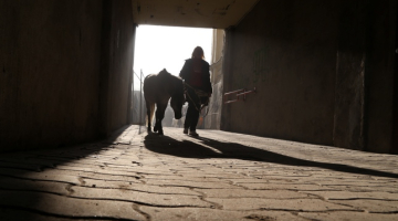 Foto: Evija Trifanova, LETA