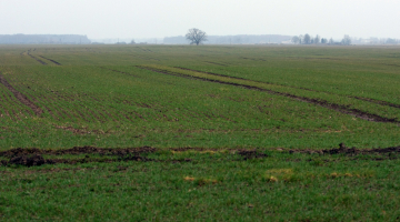 Foto: Edijs Pālens, LETA.