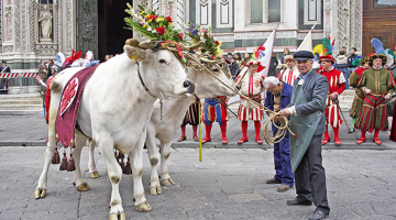 Ziediem rotāti vērši pagājušā gada Lieldienu gājienā Florencē.