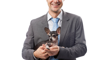 Foto — Shutterstock
