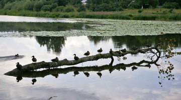 Šlokenbekas dzirnavezers. Foto: dziedava.lv
