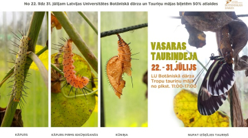 2017_08_taurinjdejas_afisha.jpg
