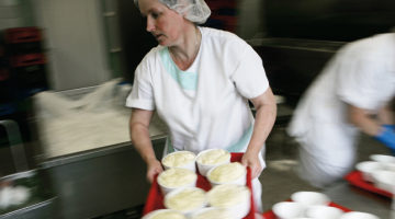 Straupes pienotavā top Jāņu siers.  Pēc svētkiem to sauc par Ķimeņu sieru un pilda desas formas iepakojumā. Foto — Reinis Hofmanis, F64