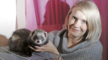 Gadu vecais sesks Bazils ir Latvian Winter Ferret Show 2010 uzvarētājs junioru kategorijā. Marta Esmane ir viņa saimniece. Foto — Gints Ivuškāns, F64