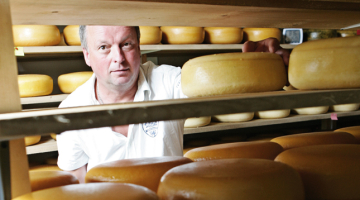 Siera siešanas prasmi  Andis Vītolbergs apguva  gan Nīderlandē, gan Igaunijā  pie kāda piensaimnieka, kurš, tāpat kā latvietis, gribēja būt  pēc iespējas neatkarīgāks  no uzpircējiem un piena cenām. Foto — Jānis Saliņš, F64