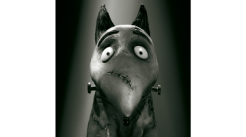 Frankenkrancis